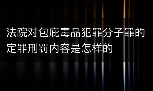 法院对包庇毒品犯罪分子罪的定罪刑罚内容是怎样的