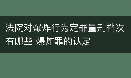 法院对爆炸行为定罪量刑档次有哪些 爆炸罪的认定