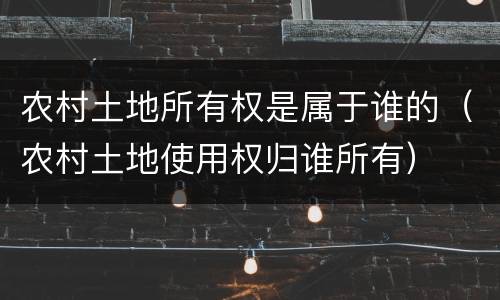 农村土地所有权是属于谁的（农村土地使用权归谁所有）