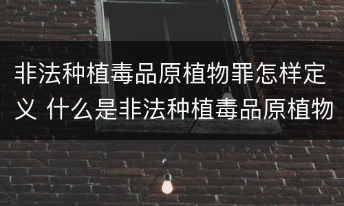 非法种植毒品原植物罪怎样定义 什么是非法种植毒品原植物罪
