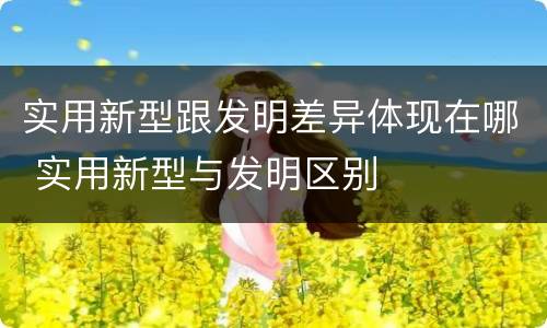 实用新型跟发明差异体现在哪 实用新型与发明区别
