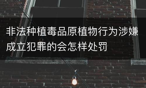 非法种植毒品原植物行为涉嫌成立犯罪的会怎样处罚
