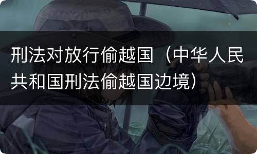 刑法对放行偷越国（中华人民共和国刑法偷越国边境）