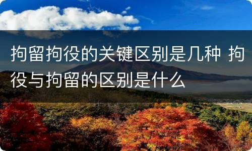 拘留拘役的关键区别是几种 拘役与拘留的区别是什么