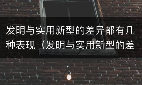 发明与实用新型的差异都有几种表现（发明与实用新型的差异都有几种表现方法）