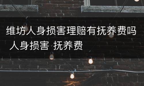 维坊人身损害理赔有抚养费吗 人身损害 抚养费