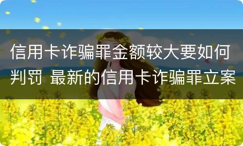信用卡诈骗罪金额较大要如何判罚 最新的信用卡诈骗罪立案量刑标准