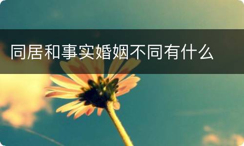 同居和事实婚姻不同有什么