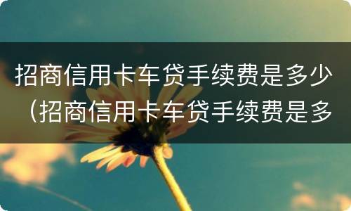 招商信用卡车贷手续费是多少（招商信用卡车贷手续费是多少钱）