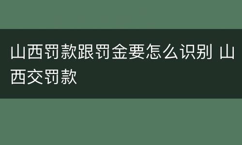 山西罚款跟罚金要怎么识别 山西交罚款