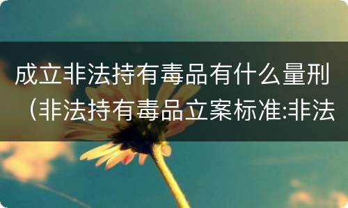 成立非法持有毒品有什么量刑（非法持有毒品立案标准:非法持有毒品量刑标准是什么）