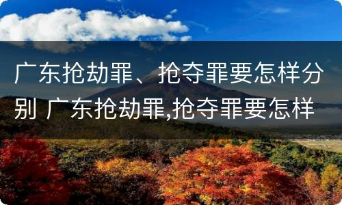 广东抢劫罪、抢夺罪要怎样分别 广东抢劫罪,抢夺罪要怎样分别判
