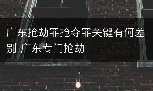 广东抢劫罪抢夺罪关键有何差别 广东专门抢劫