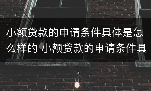 小额贷款的申请条件具体是怎么样的 小额贷款的申请条件具体是怎么样的呢