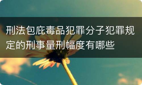 刑法包庇毒品犯罪分子犯罪规定的刑事量刑幅度有哪些
