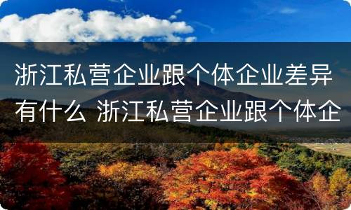 浙江私营企业跟个体企业差异有什么 浙江私营企业跟个体企业差异有什么特点