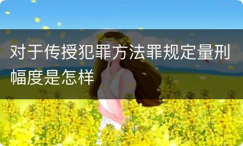 对于传授犯罪方法罪规定量刑幅度是怎样