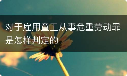 对于雇用童工从事危重劳动罪是怎样判定的