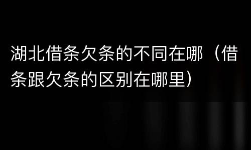 湖北借条欠条的不同在哪（借条跟欠条的区别在哪里）