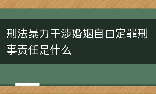 刑法暴力干涉婚姻自由定罪刑事责任是什么