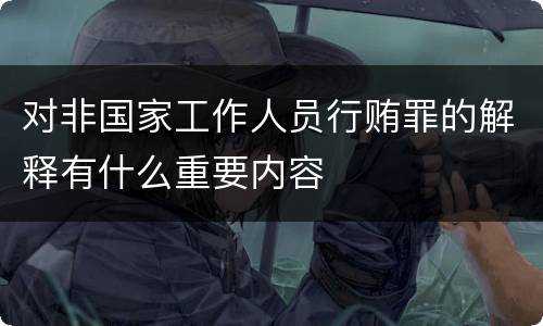 对非国家工作人员行贿罪的解释有什么重要内容