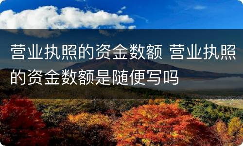 营业执照的资金数额 营业执照的资金数额是随便写吗