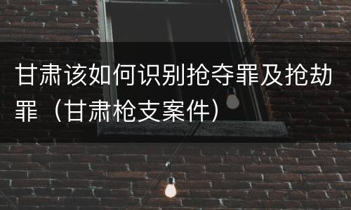 甘肃该如何识别抢夺罪及抢劫罪（甘肃枪支案件）
