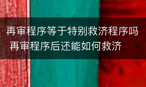 再审程序等于特别救济程序吗 再审程序后还能如何救济