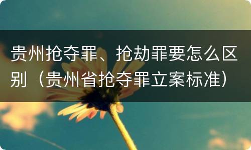 贵州抢夺罪、抢劫罪要怎么区别（贵州省抢夺罪立案标准）