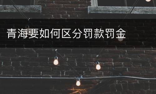 青海要如何区分罚款罚金
