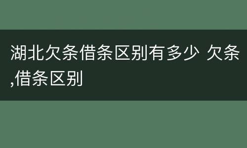 湖北欠条借条区别有多少 欠条,借条区别