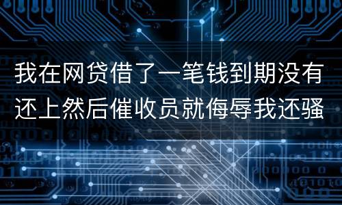 我在网贷借了一笔钱到期没有还上然后催收员就侮辱我还骚扰我朋友圈