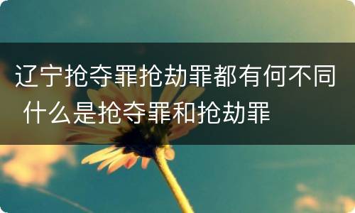辽宁抢夺罪抢劫罪都有何不同 什么是抢夺罪和抢劫罪