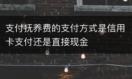 支付抚养费的支付方式是信用卡支付还是直接现金