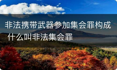 非法携带武器参加集会罪构成 什么叫非法集会罪