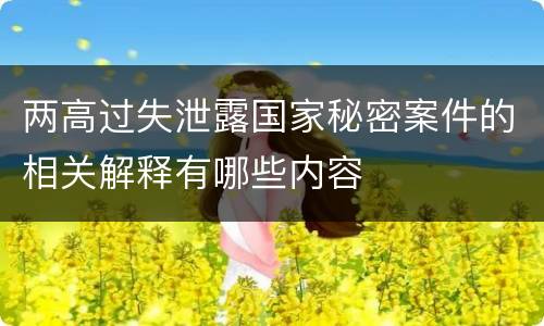两高过失泄露国家秘密案件的相关解释有哪些内容