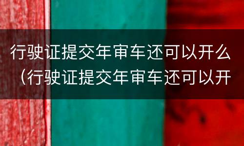 行驶证提交年审车还可以开么（行驶证提交年审车还可以开么嘛）