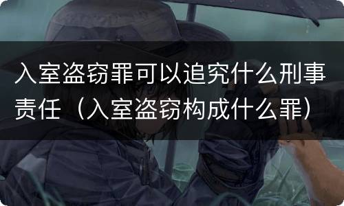 入室盗窃罪可以追究什么刑事责任（入室盗窃构成什么罪）