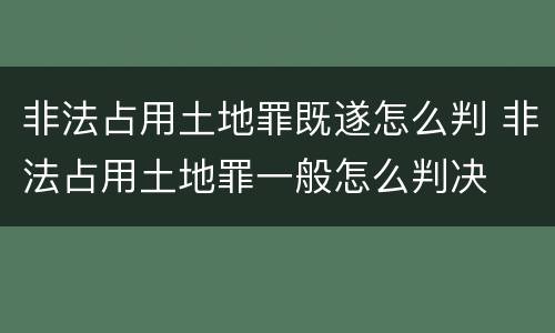 非法占用土地罪既遂怎么判 非法占用土地罪一般怎么判决