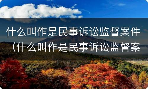 什么叫作是民事诉讼监督案件（什么叫作是民事诉讼监督案件）
