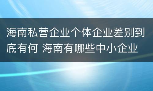 海南私营企业个体企业差别到底有何 海南有哪些中小企业