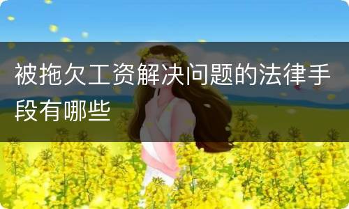 被拖欠工资解决问题的法律手段有哪些