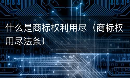 什么是商标权利用尽（商标权用尽法条）