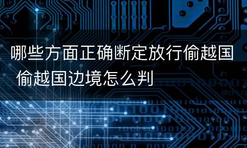 哪些方面正确断定放行偷越国 偷越国边境怎么判