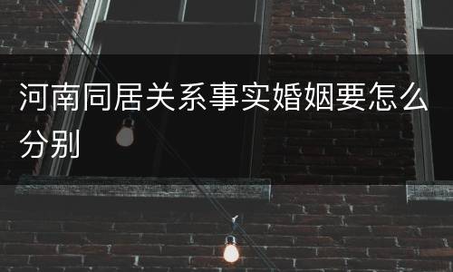 河南同居关系事实婚姻要怎么分别