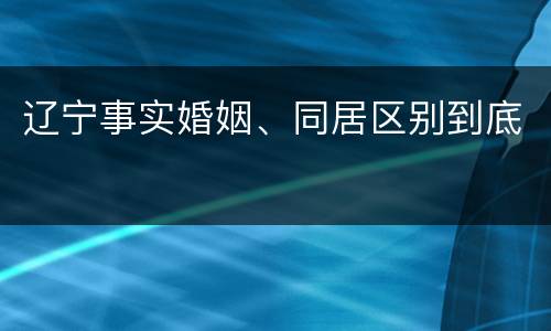 辽宁事实婚姻、同居区别到底
