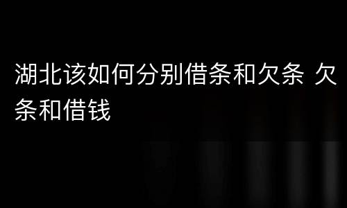 湖北该如何分别借条和欠条 欠条和借钱