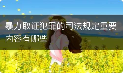 暴力取证犯罪的司法规定重要内容有哪些