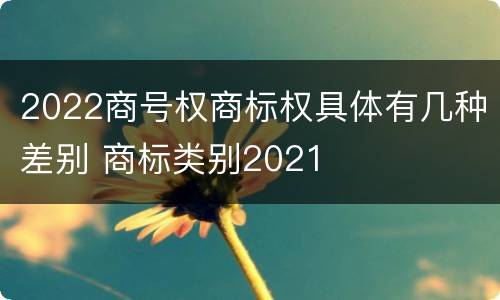 2022商号权商标权具体有几种差别 商标类别2021