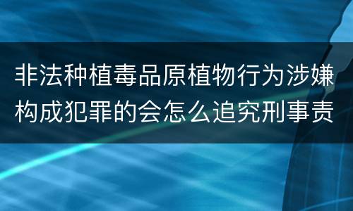 非法种植毒品原植物行为涉嫌构成犯罪的会怎么追究刑事责任